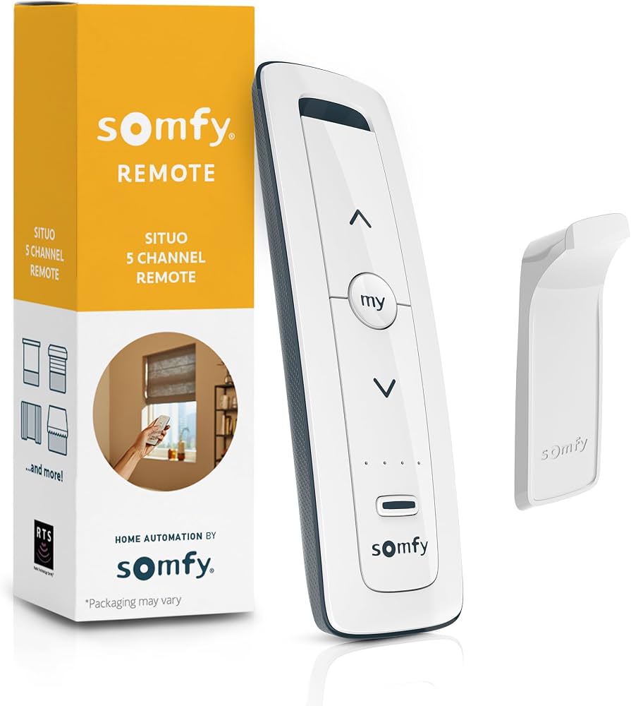 Somfy Remote